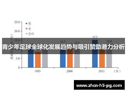 青少年足球全球化发展趋势与吸引赞助潜力分析