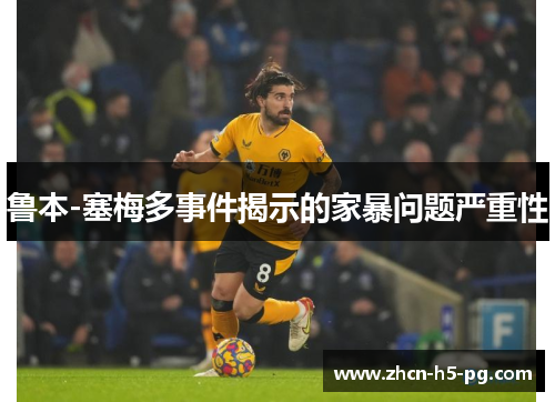 鲁本-塞梅多事件揭示的家暴问题严重性