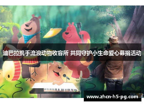 迪巴拉携手流浪动物收容所 共同守护小生命爱心募捐活动 迪巴拉携手流浪动物收容所 共同守护小生命爱心募捐活动