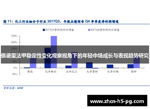 佩德里法甲稳定性变化观察视角下的年轻中场成长与表现趋势研究
